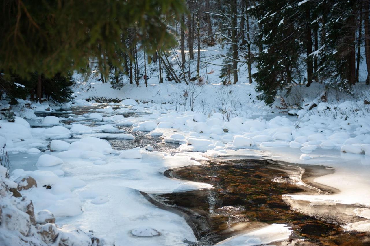Mountain By The River - Base Camp Medvedin Campsite Spindleruv Mlyn